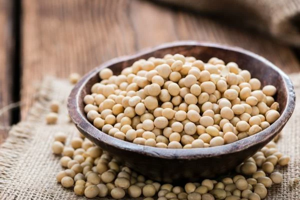 Best Import Markets for Soya Bean